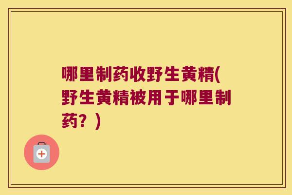 哪里制药收野生黄精(野生黄精被用于哪里制药？)