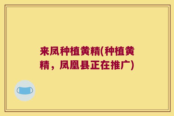 来凤种植黄精(种植黄精，凤凰县正在推广)