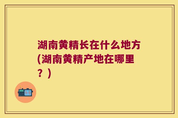 湖南黄精长在什么地方(湖南黄精产地在哪里?) 湖南黄精长在什么地方(湖南黄精产地在哪里?)