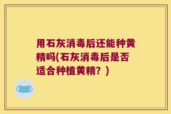 用石灰消毒后还能种黄精吗(石灰消毒后是否适合种植黄精？)