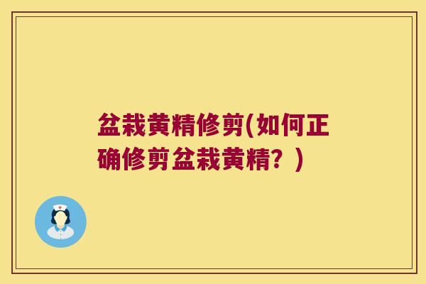 盆栽黄精修剪(如何正确修剪盆栽黄精?) 盆栽黄精修剪(如何正确修剪盆栽黄精?)