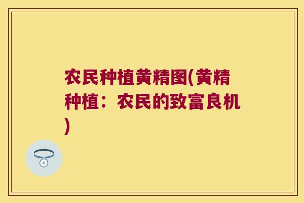农民种植黄精图(黄精种植：农民的致富良机)