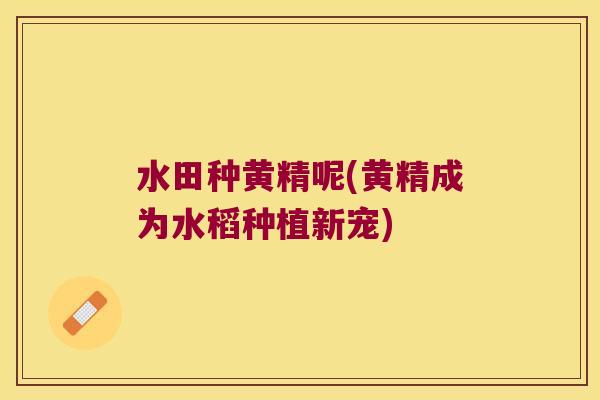 水田种黄精呢(黄精成为水稻种植新宠)