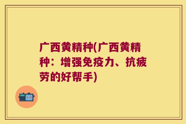 广西黄精种(广西黄精种:增强力、的好帮手) 广西黄精种(广西黄精种:增强力、的好帮手)