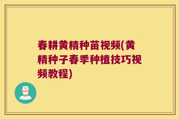 春耕黄精种苗视频(黄精种子春季种植技巧视频教程) 春耕黄精种苗视频(黄精种子春季种植技巧视频教程)