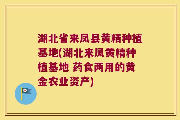 湖北省来凤县黄精种植基地(湖北来凤黄精种植基地 药食两用的黄金农业资产) 湖北省来凤县黄精种植基地(湖北来凤黄精种植基地 药食两用的黄金农业资产)
