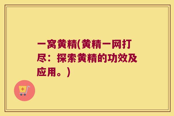 一窝黄精(黄精一网打尽：探索黄精的功效及应用。)