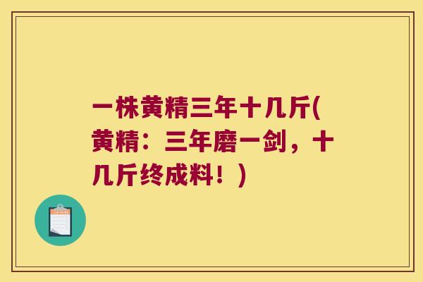 一株黄精三年十几斤(黄精：三年磨一剑，十几斤终成料！)