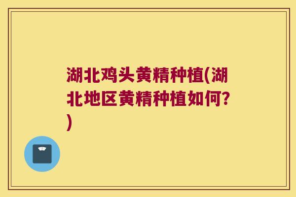湖北鸡头黄精种植(湖北地区黄精种植如何？)