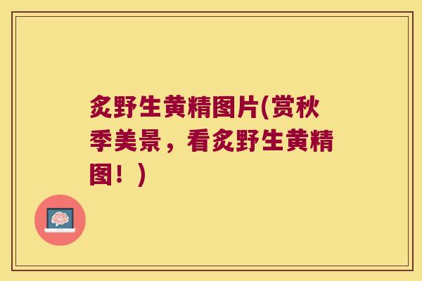 炙野生黄精图片(赏秋季美景,看炙野生黄精图!) 炙野生黄精图片(赏秋季美景,看炙野生黄精图!)