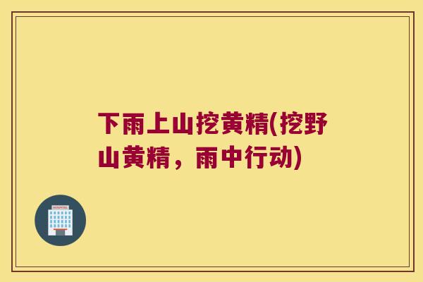 下雨上山挖黄精(挖野山黄精，雨中行动)