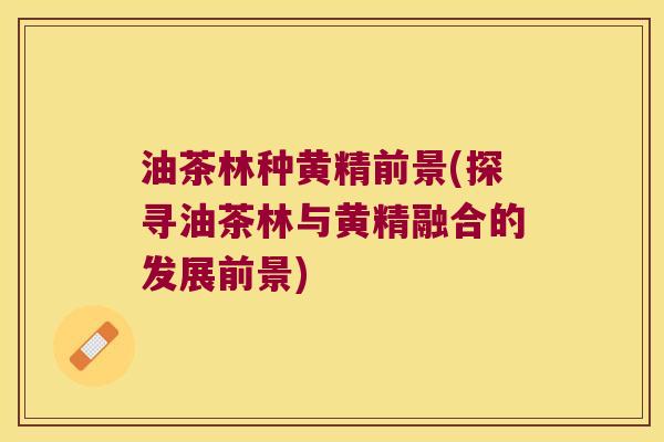 油茶林种黄精前景(探寻油茶林与黄精融合的发展前景) 油茶林种黄精前景(探寻油茶林与黄精融合的发展前景)