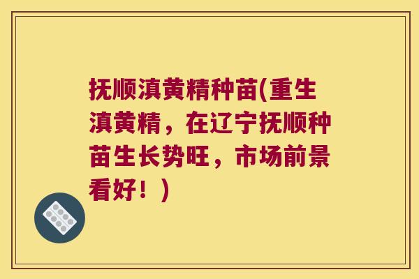 抚顺滇黄精种苗(重生滇黄精，在辽宁抚顺种苗生长势旺，市场前景看好！)