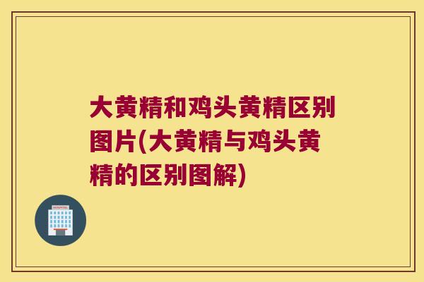 大黄精和鸡头黄精区别图片(大黄精与鸡头黄精的区别图解) 大黄精和鸡头黄精区别图片(大黄精与鸡头黄精的区别图解)