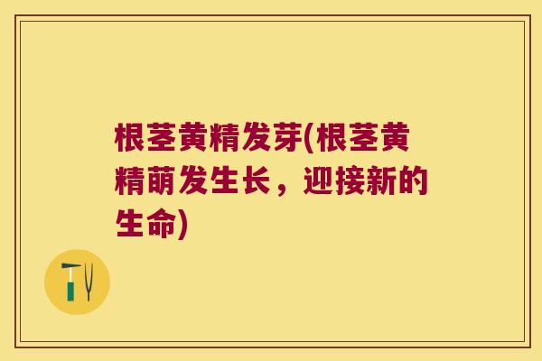 根茎黄精发芽(根茎黄精萌发生长，迎接新的生命)