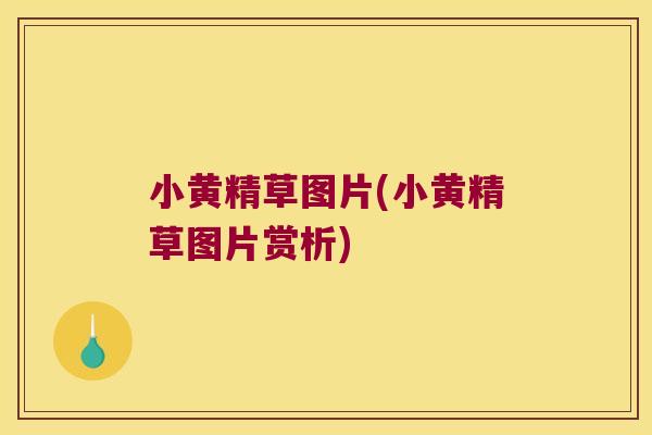 小黄精草图片(小黄精草图片赏析) 小黄精草图片(小黄精草图片赏析)
