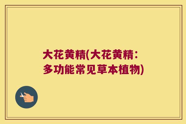 大花黄精(大花黄精:多功能常见草本植物) 大花黄精(大花黄精:多功能常见草本植物)