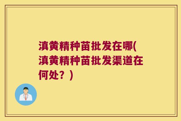滇黄精种苗批发在哪(滇黄精种苗批发渠道在何处？)