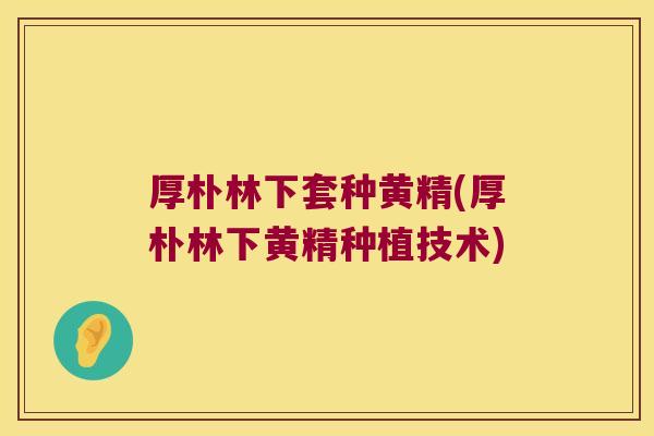 厚朴林下套种黄精(厚朴林下黄精种植技术)