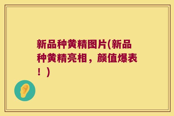 新品种黄精图片(新品种黄精亮相,颜值爆表!) 新品种黄精图片(新品种黄精亮相,颜值爆表!)