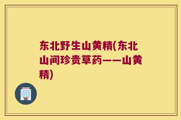 东北野生山黄精(东北山间珍贵草药——山黄精) 东北野生山黄精(东北山间珍贵草药——山黄精)