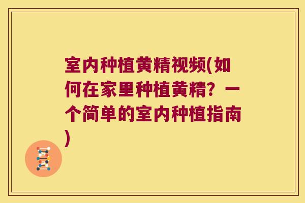 室内种植黄精视频(如何在家里种植黄精?一个简单的室内种植指南) 室内种植黄精视频(如何在家里种植黄精?一个简单的室内种植指南)