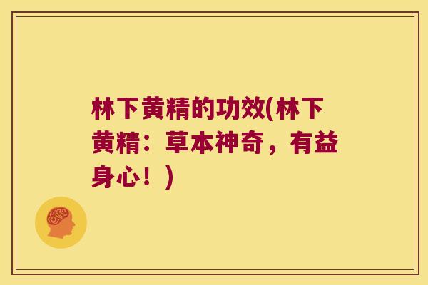 林下黄精的功效(林下黄精：草本神奇，有益身心！)