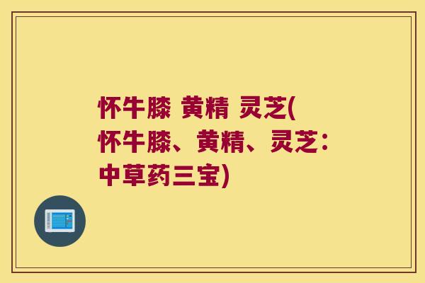 怀牛膝 黄精 灵芝(怀牛膝、黄精、灵芝:中草药三宝) 怀牛膝 黄精 灵芝(怀牛膝、黄精、灵芝:中草药三宝)