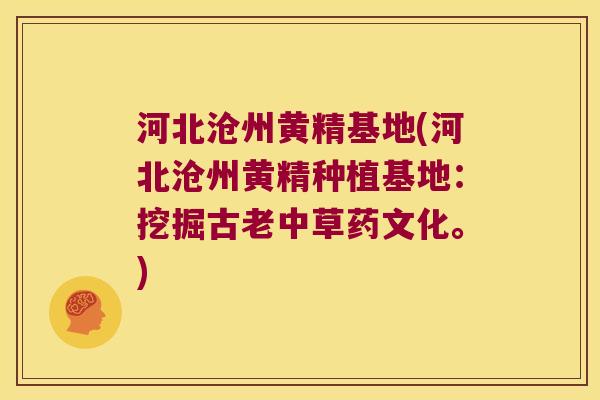 河北沧州黄精基地(河北沧州黄精种植基地：挖掘古老中草药文化。)