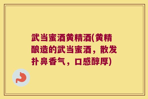 武当蜜酒黄精酒(黄精酿造的武当蜜酒，散发扑鼻香气，口感醇厚)