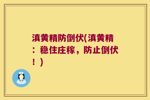 滇黄精防倒伏(滇黄精：稳住庄稼，防止倒伏！)