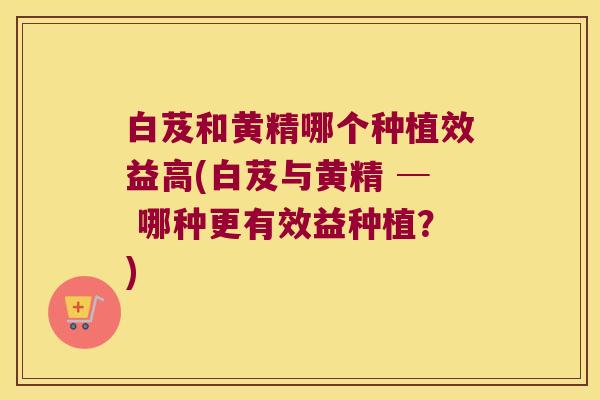 白芨和黄精哪个种植效益高(白芨与黄精 ─ 哪种更有效益种植?) 白芨和黄精哪个种植效益高(白芨与黄精 ─ 哪种更有效益种植?)