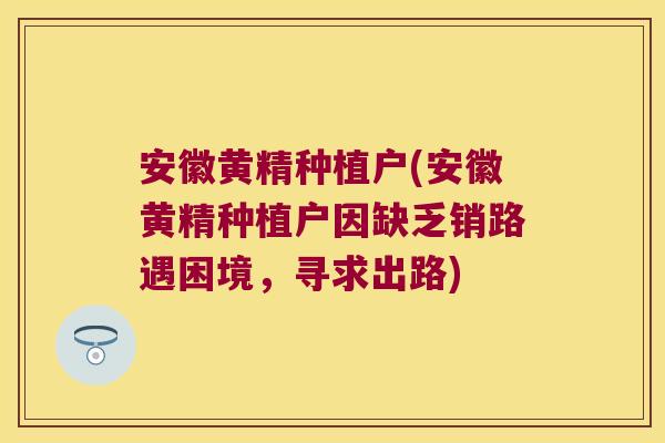 安徽黄精种植户(安徽黄精种植户因缺乏销路遇困境,寻求出路) 安徽黄精种植户(安徽黄精种植户因缺乏销路遇困境,寻求出路)