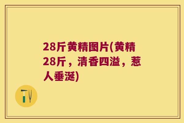 28斤黄精图片(黄精28斤,清香四溢,惹人垂涎) 28斤黄精图片(黄精28斤,清香四溢,惹人垂涎)