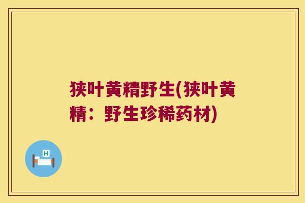 狭叶黄精野生(狭叶黄精：野生珍稀药材)