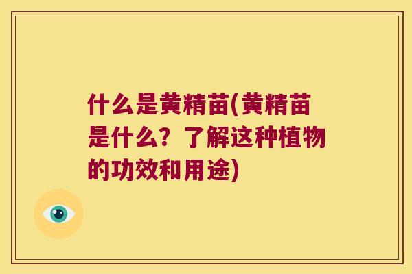 什么是黄精苗(黄精苗是什么？了解这种植物的功效和用途)