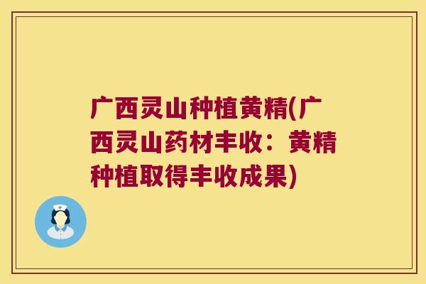 广西灵山种植黄精(广西灵山药材丰收:黄精种植取得丰收成果) 广西灵山种植黄精(广西灵山药材丰收:黄精种植取得丰收成果)