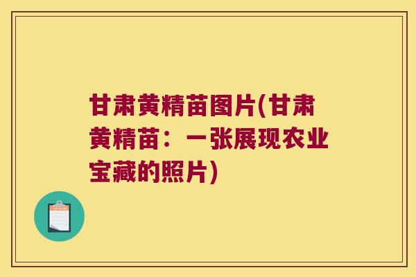 甘肃黄精苗图片(甘肃黄精苗：一张展现农业宝藏的照片)