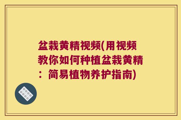 盆栽黄精视频(用视频教你如何种植盆栽黄精：简易植物养护指南)