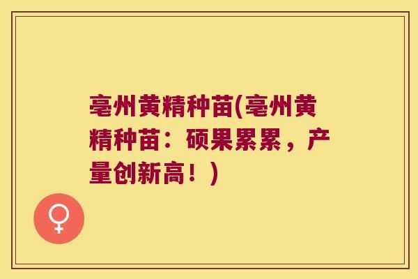 亳州黄精种苗(亳州黄精种苗：硕果累累，产量创新高！)