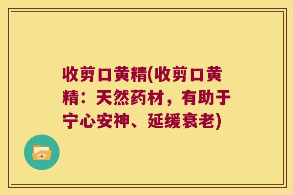 收剪口黄精(收剪口黄精:天然药材,有助于宁心安神、延缓) 收剪口黄精(收剪口黄精:天然药材,有助于宁心安神、延缓)