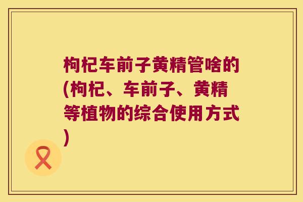枸杞车前子黄精管啥的(枸杞、车前子、黄精等植物的综合使用方式) 枸杞车前子黄精管啥的(枸杞、车前子、黄精等植物的综合使用方式)