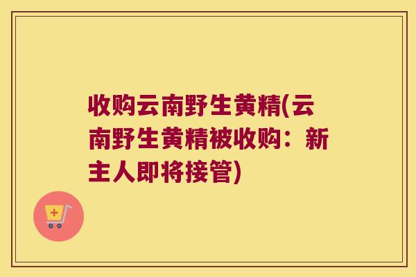 收购云南野生黄精(云南野生黄精被收购:新主人即将接管) 收购云南野生黄精(云南野生黄精被收购:新主人即将接管)