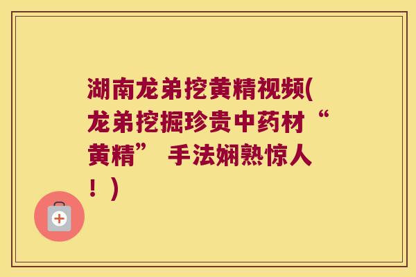 湖南龙弟挖黄精视频(龙弟挖掘珍贵材“黄精” 手法娴熟惊人!) 湖南龙弟挖黄精视频(龙弟挖掘珍贵材“黄精” 手法娴熟惊人!)