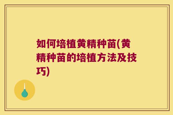 如何培植黄精种苗(黄精种苗的培植方法及技巧)