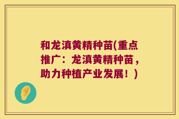 和龙滇黄精种苗(重点推广：龙滇黄精种苗，助力种植产业发展！)