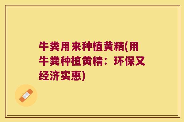 牛粪用来种植黄精(用牛粪种植黄精：环保又经济实惠)