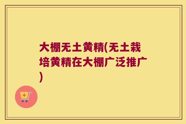 大棚无土黄精(无土栽培黄精在大棚广泛推广)
