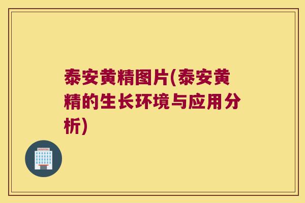 泰安黄精图片(泰安黄精的生长环境与应用分析)