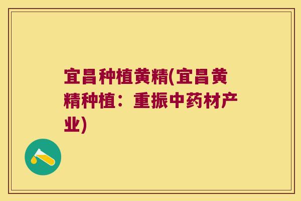 宜昌种植黄精(宜昌黄精种植:重振材产业) 宜昌种植黄精(宜昌黄精种植:重振材产业)